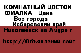 КОМНАТНЫЙ ЦВЕТОК -ФИАЛКА › Цена ­ 1 500 - Все города  »    . Хабаровский край,Николаевск-на-Амуре г.